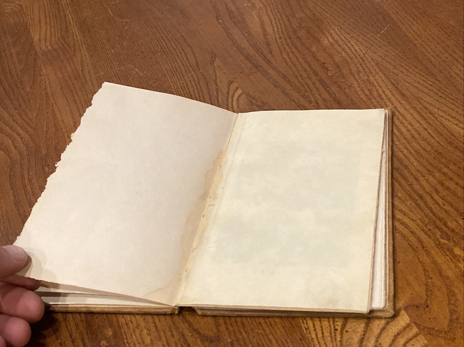 Antique RIP-VAN WINKLE BY WASHINGTON IRVIN HARD COVER BORSE & HOPKINS 47 Pages
