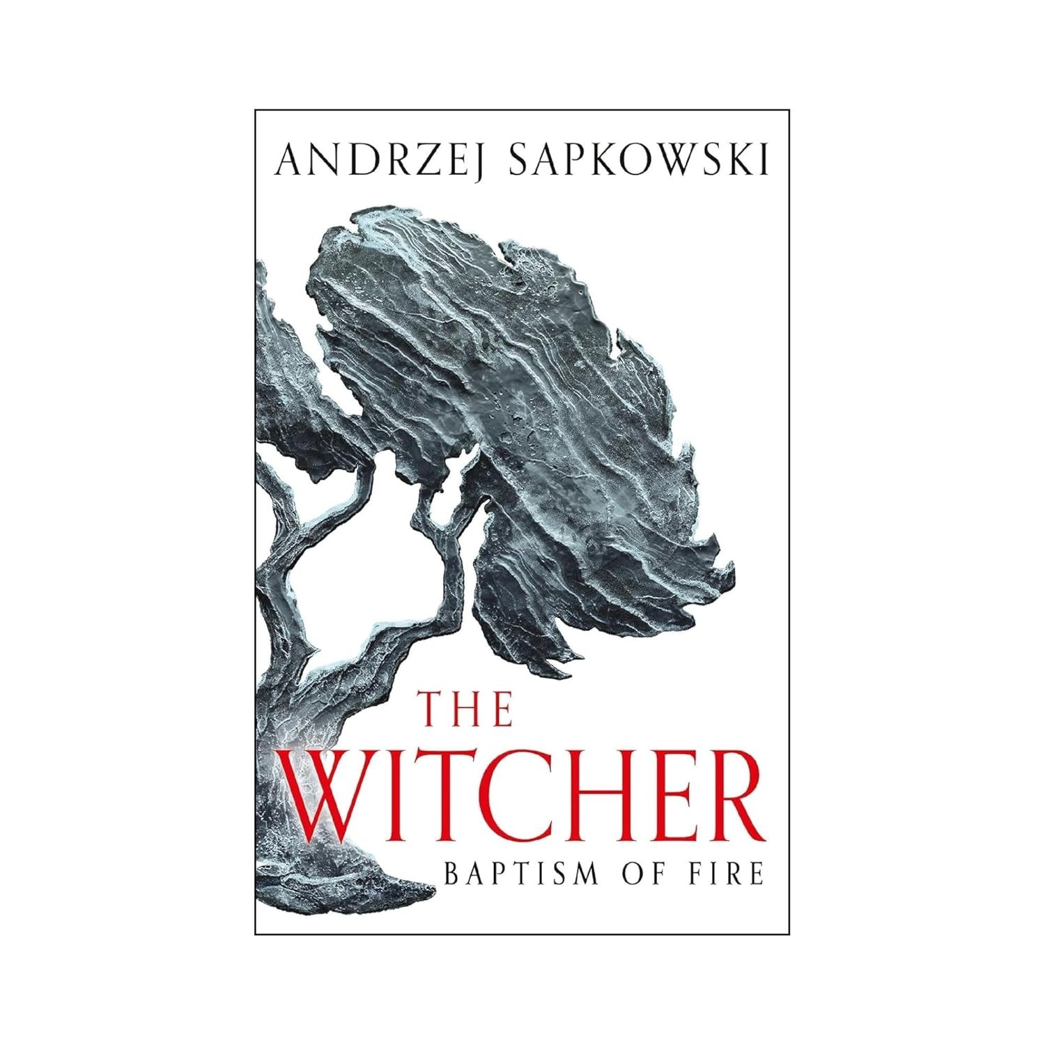 The Witcher 9 Books Collection Set: The Last Wish, Sword of Destiny, Blood