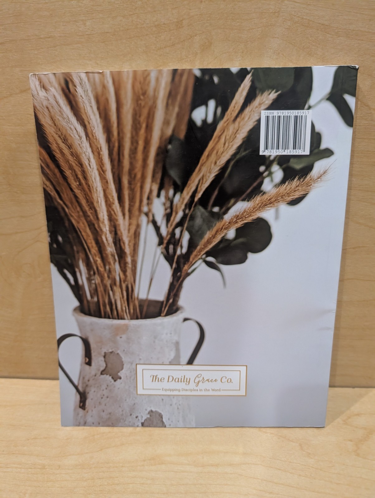The Daily Grace Co. Sharing Our Faith (Paperback, Religion, Evangelism)