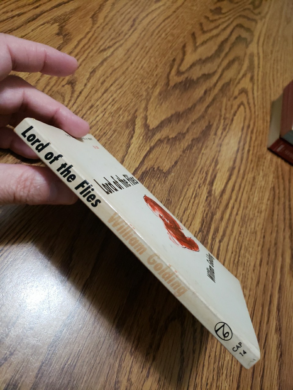 Lord of the Flies By William Golding 1959 Paperback Book Rare Vintage Good Cond
