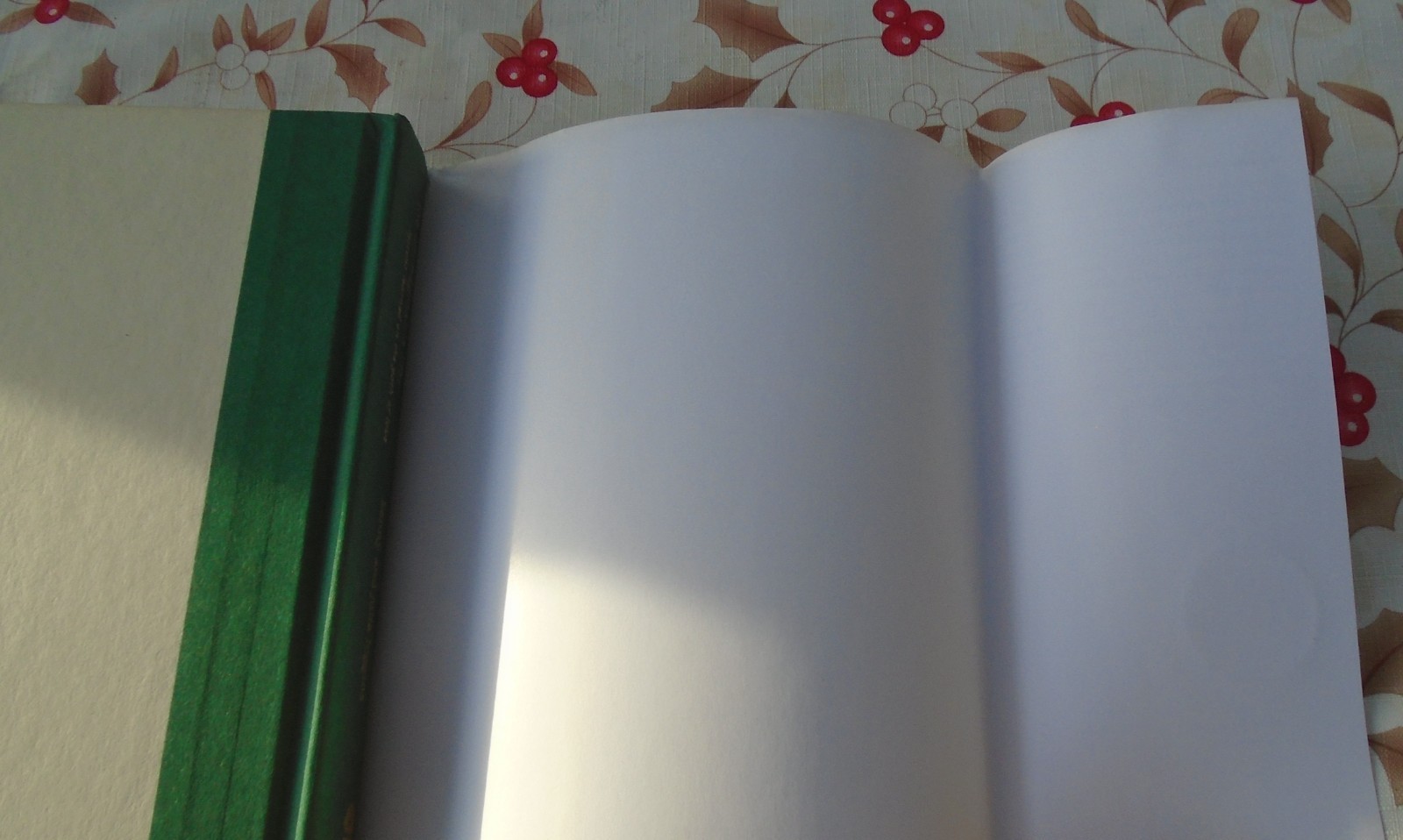 The Unimaginable Life By Julia Loggins SIGNED HARDCOVER