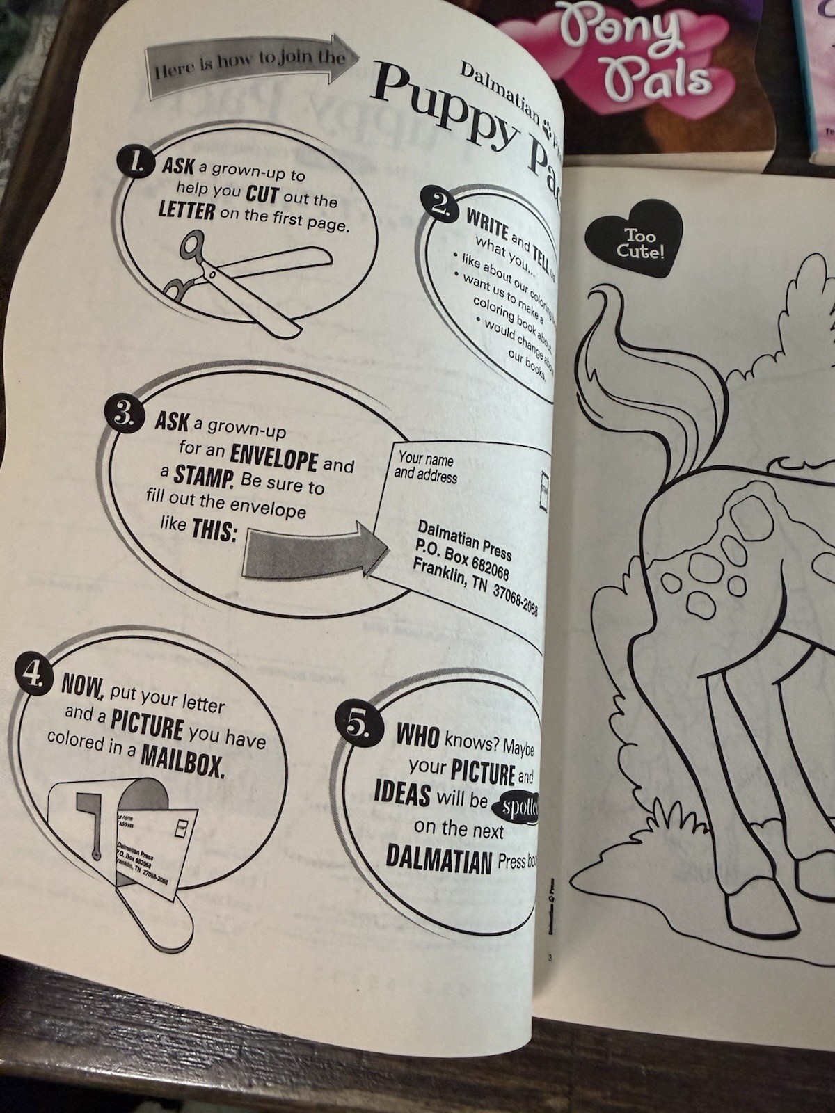 3 New Vintage Sweetheart Activity & Coloring Books 2 Identical Horse 1 Kitten