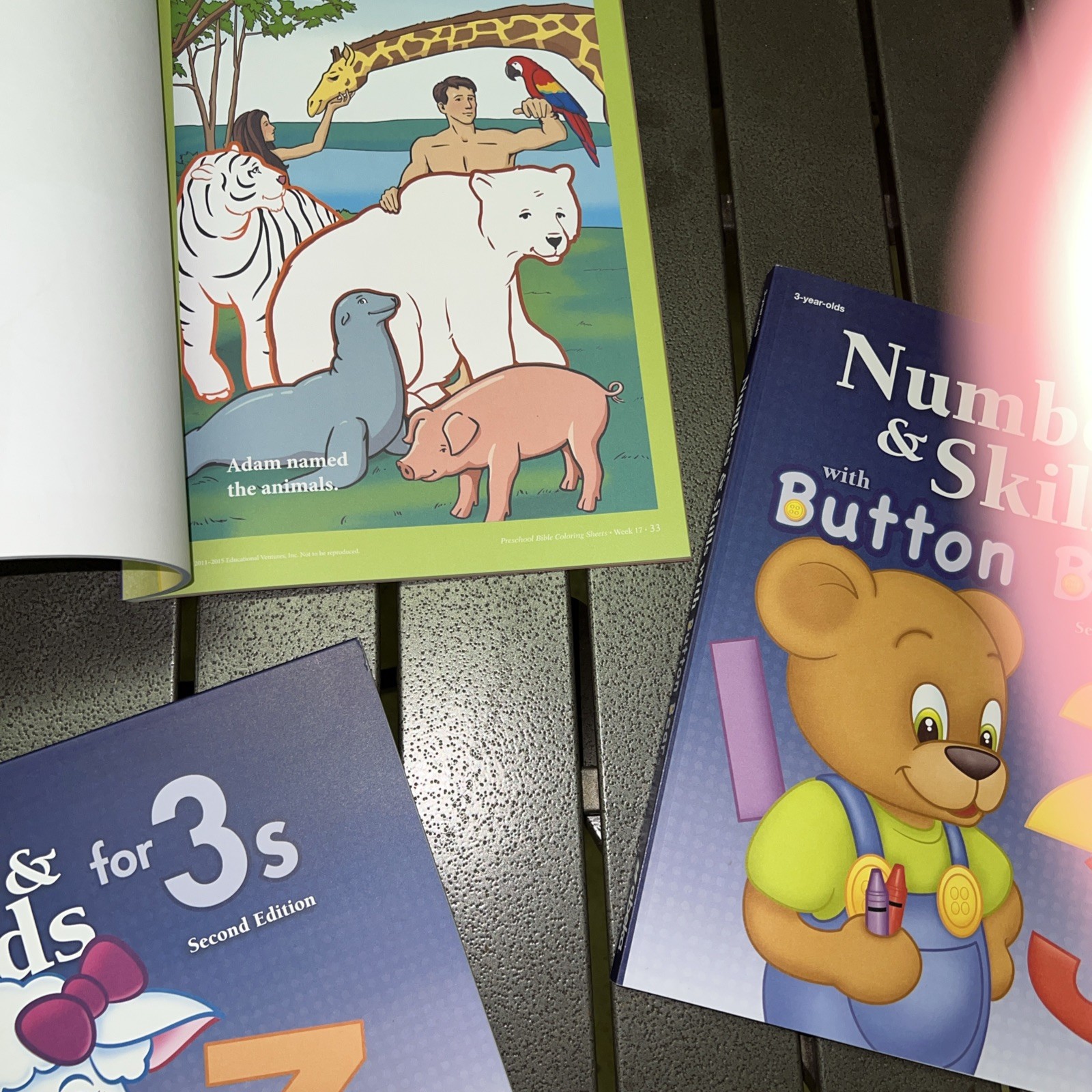A Beka Book for 3s Curriculum Letters and Sounds Numbers and Skills Bible Color