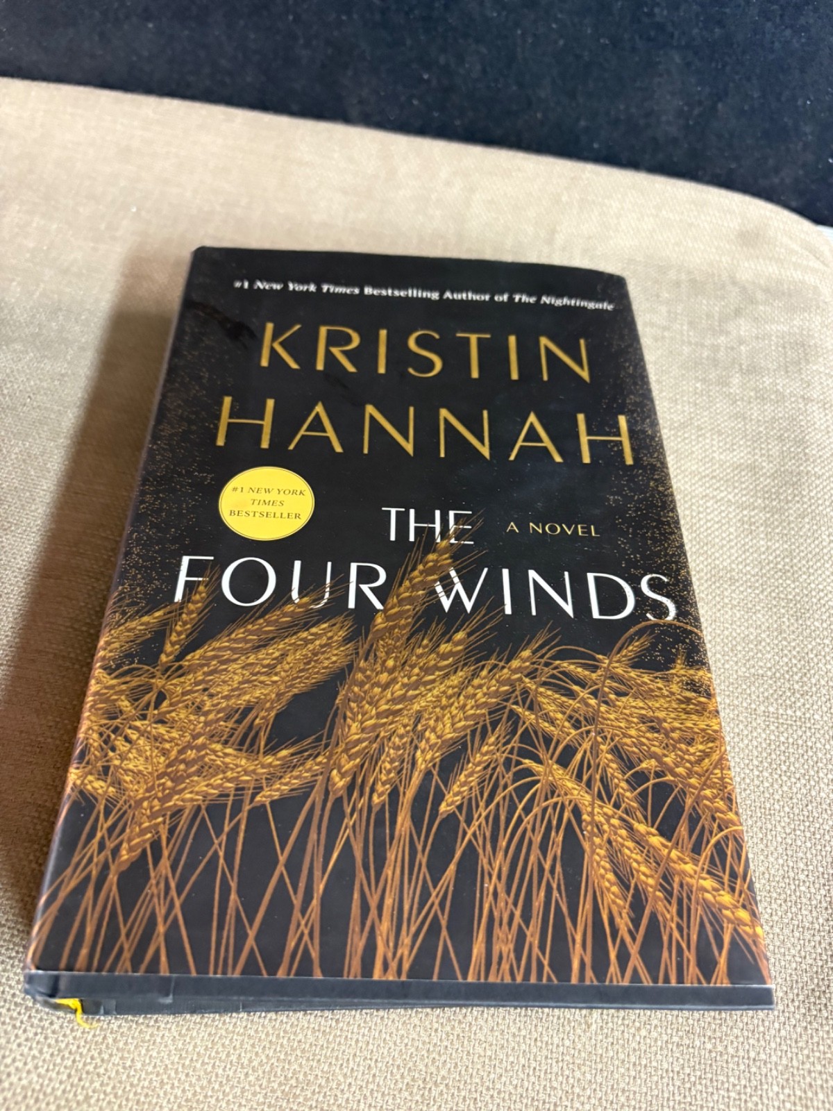 Kristin Hannah Pair hardcover DJ Books The woman and The Four Winds