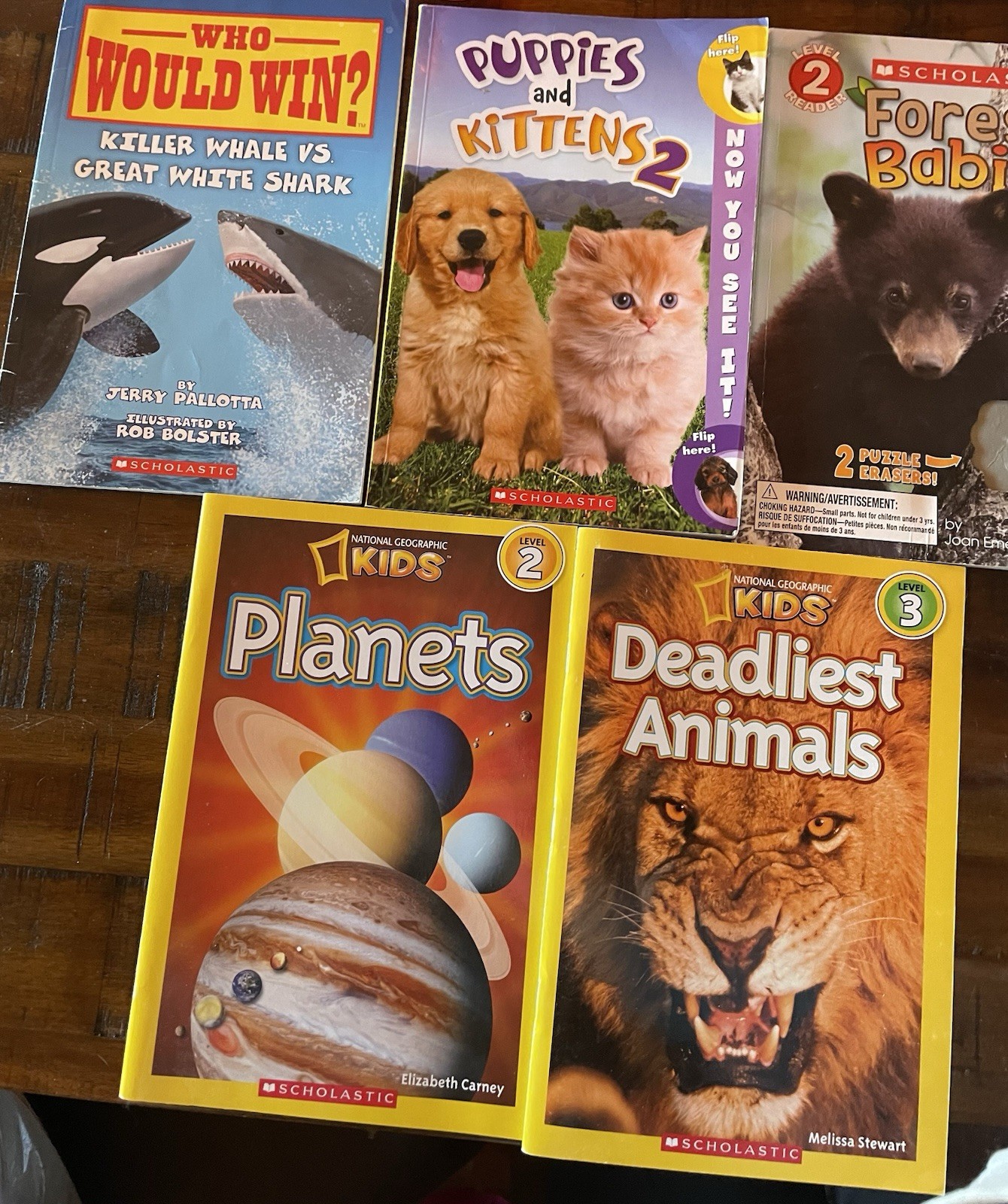 Lot Of 18 DK Readers Level 2 &3 Kids Books Early Readers Mixed Lot Nat Geo, Etc