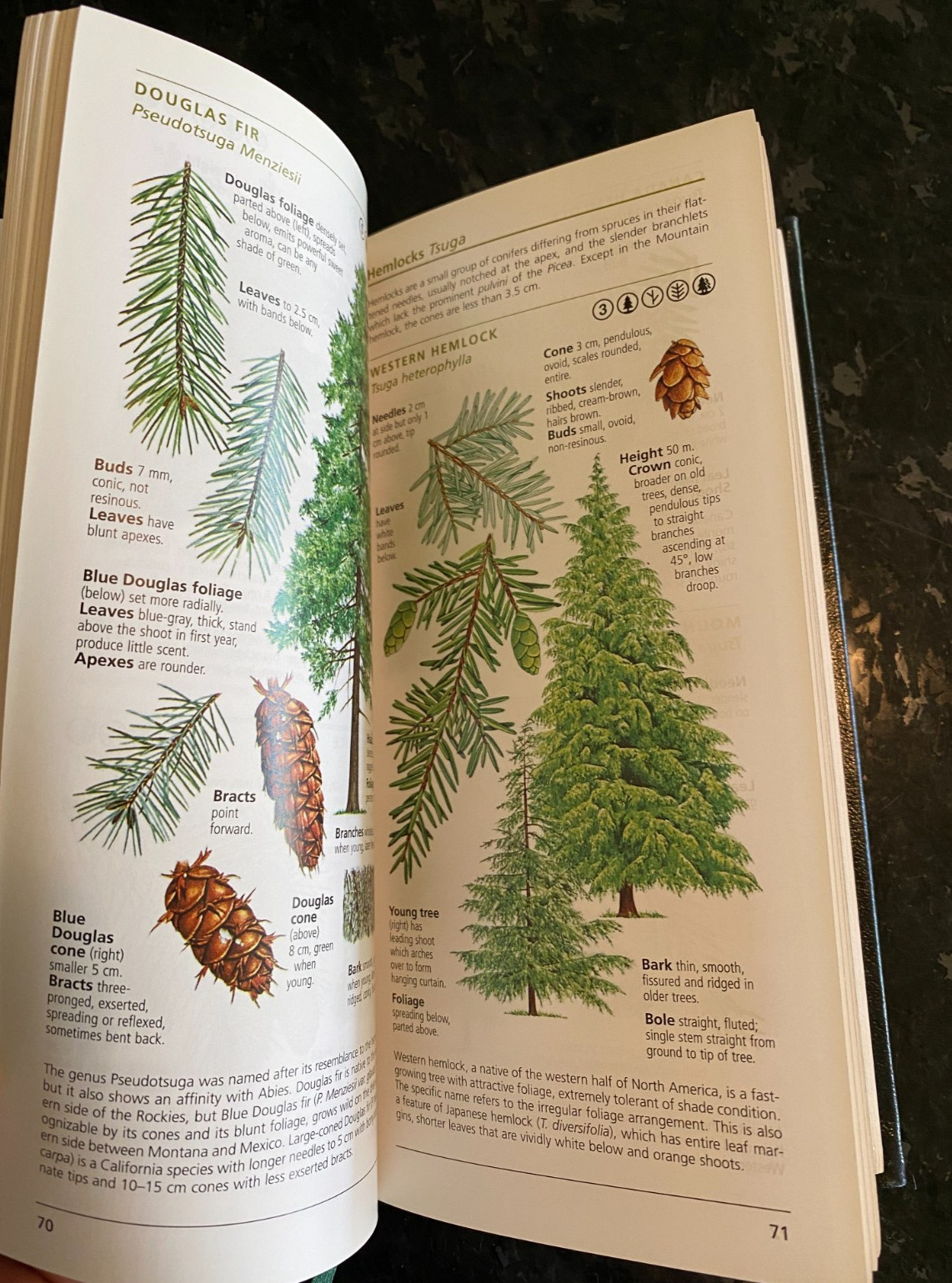 National Geographic/Field Guide to the TREES Of North America/2006/ISBN:07922551