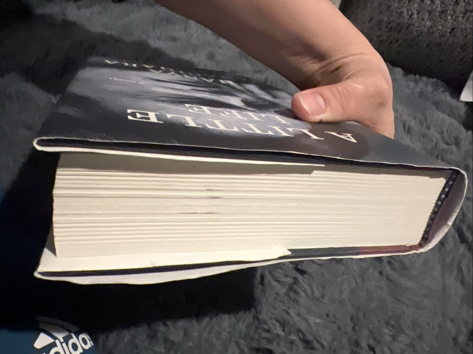 A Little Life by Hanya Yanagihara (Hardcover) First Edition – B-563