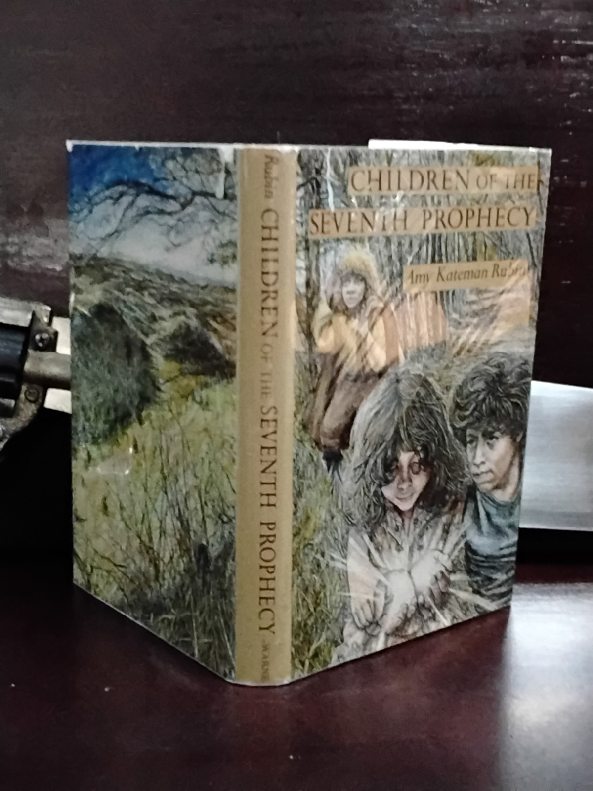 ​Amy Kateman Rubin Children of the Seventh Prophecy 1981 1st 1st VG HCDDJ Warne