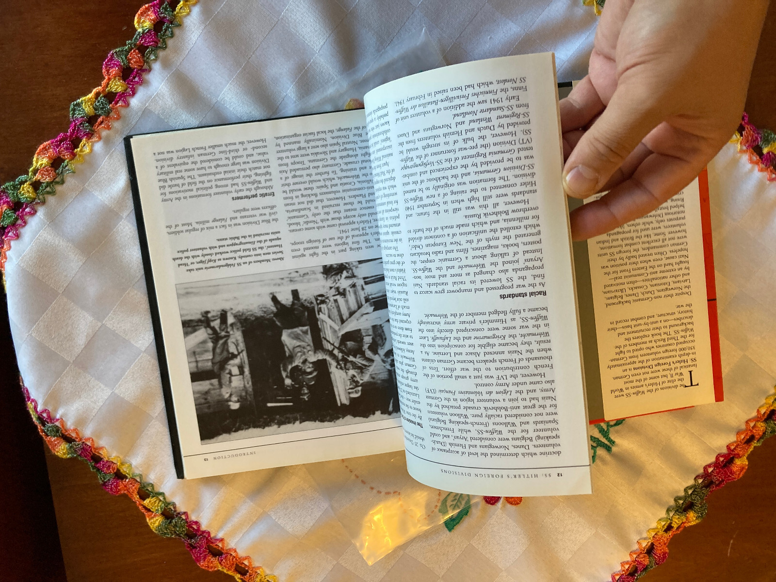 CHRIS BISHOP Hitler’s Foreign Divisions 1940 SS Volunteers ©2005 Amber Books Ltd