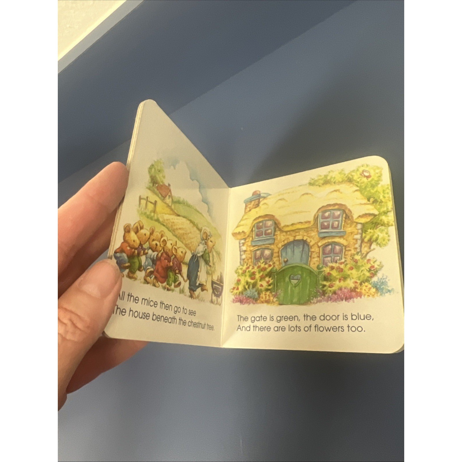 MOUSE’S HOUSE (BIG LITTLE FAT BOOKS) By Lorna Read & Roy Trower – Hardcover *VG*