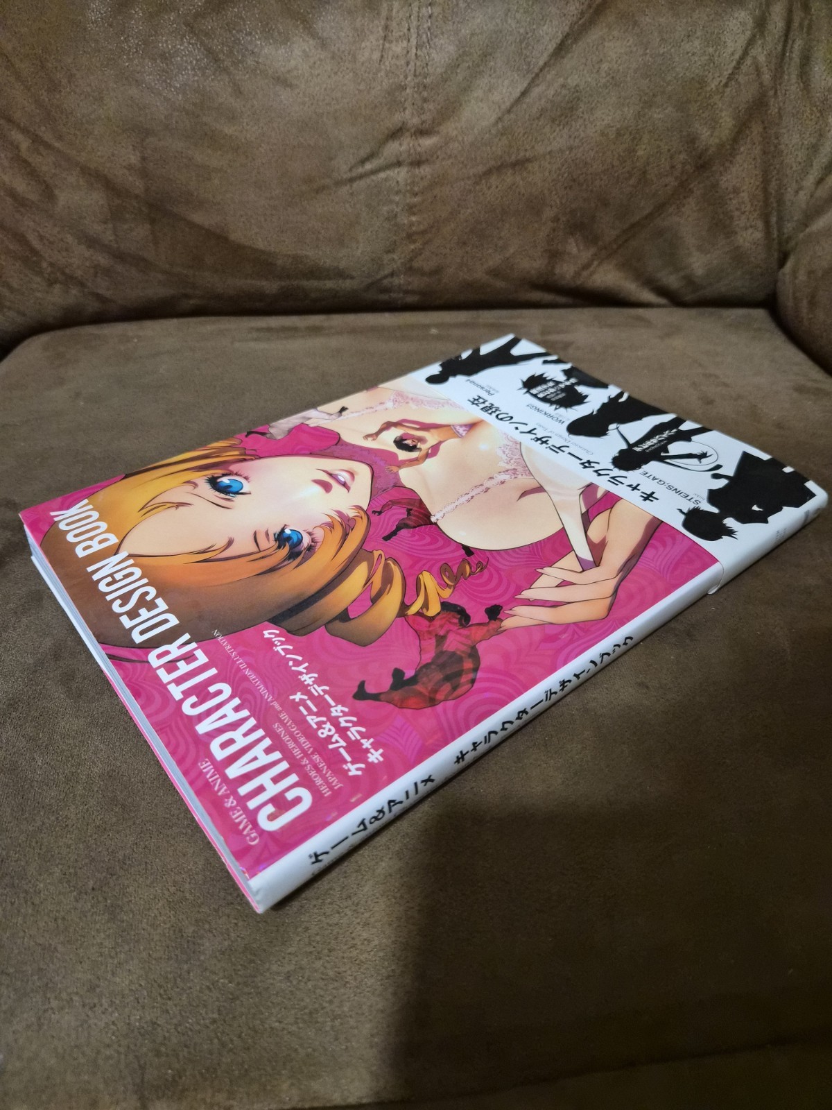 Heroes and Heroines: Japanese Video Game + Animation Illustration Art Book Anime