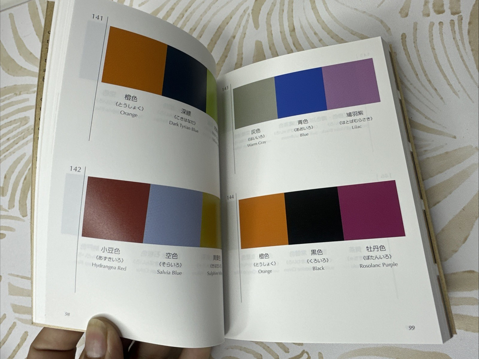 a Dictionary of Color Combinations 1 Note Taisho Showa Art Book Bilingual 2010