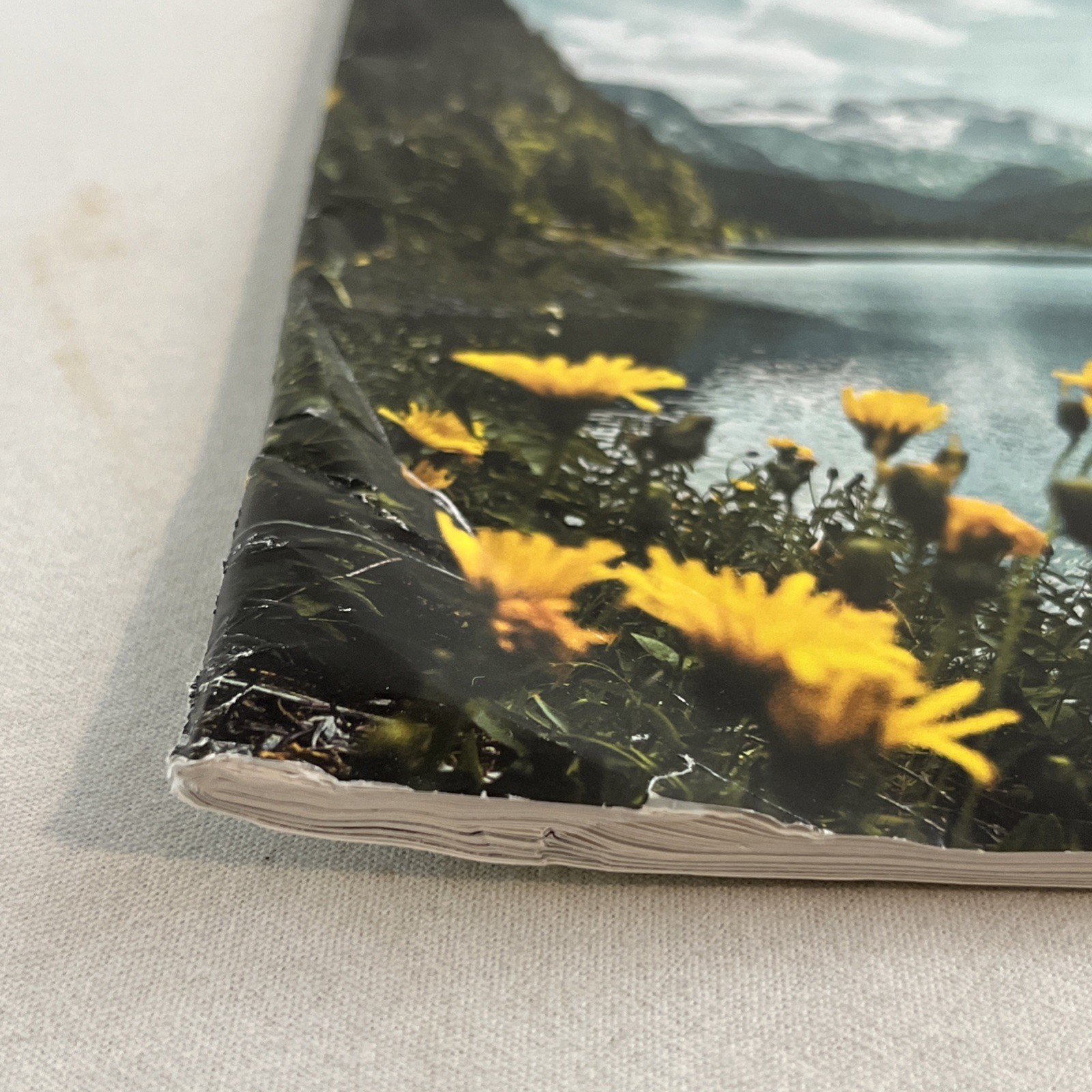 Tabletalk Magazine 2025 Jan–Dec 12 issues full year | Ligonier Ministries