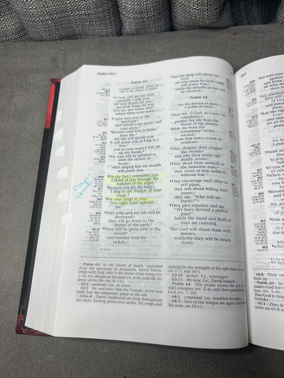 Ryrie Study Bible NIV Hardback Red Letter 1984 Retired Print Indexed