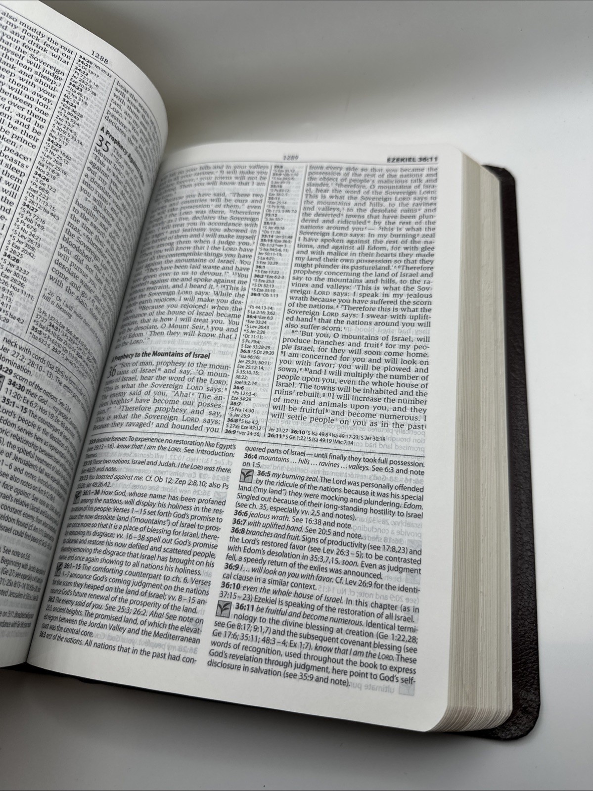 NIV Study Bible by Zondervan Staff (2008, Bonded Leather) FREE SHIPPING!
