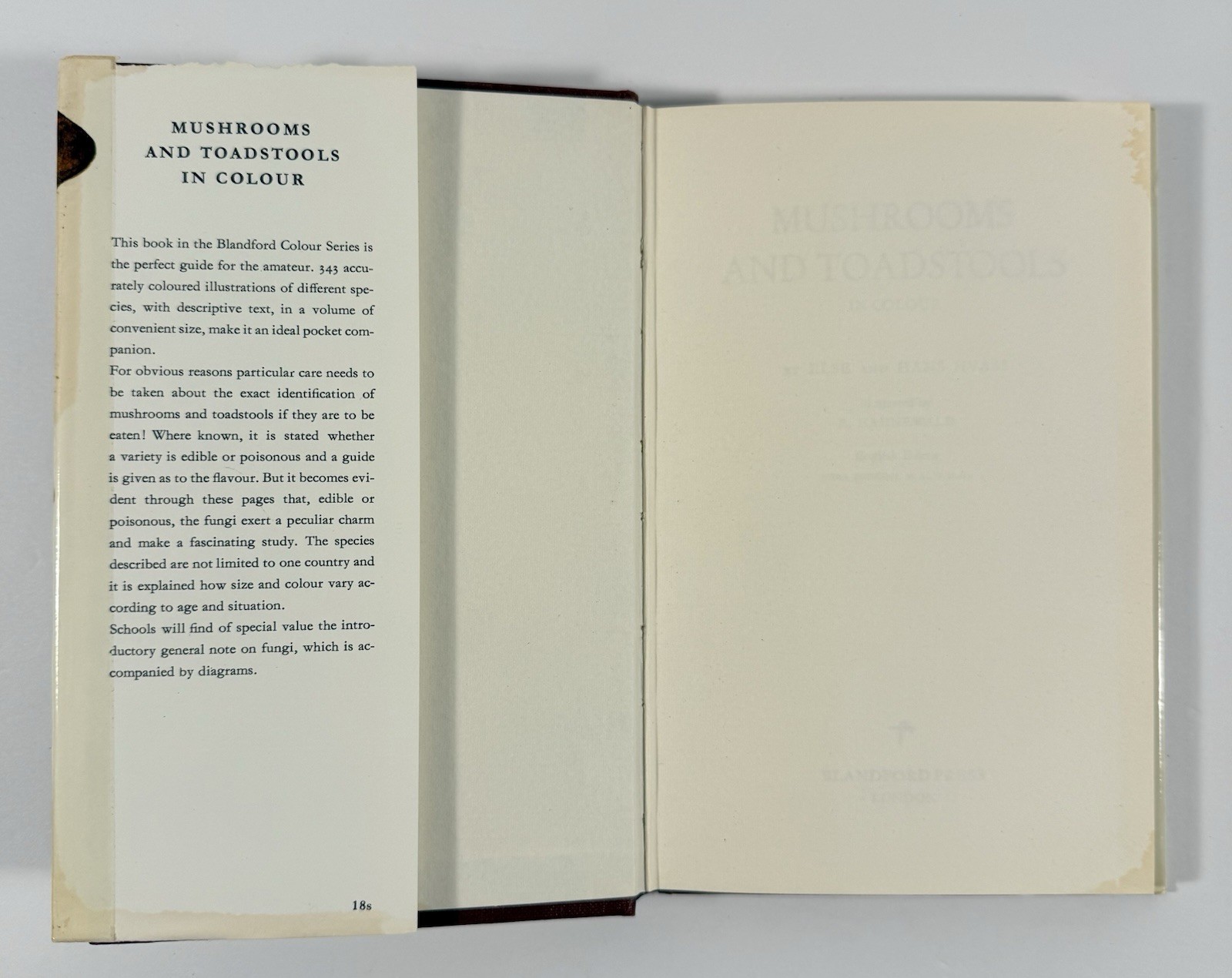 1961 Mushrooms Toadstools in Colour Blandford First Edition Dust Jacket Hvass