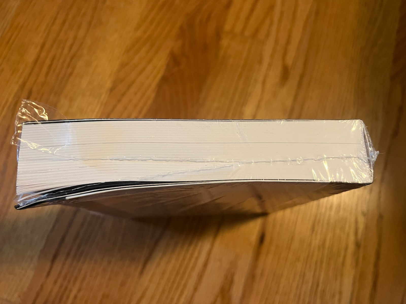 Book About Ray Hardcover by Ellen Levy New