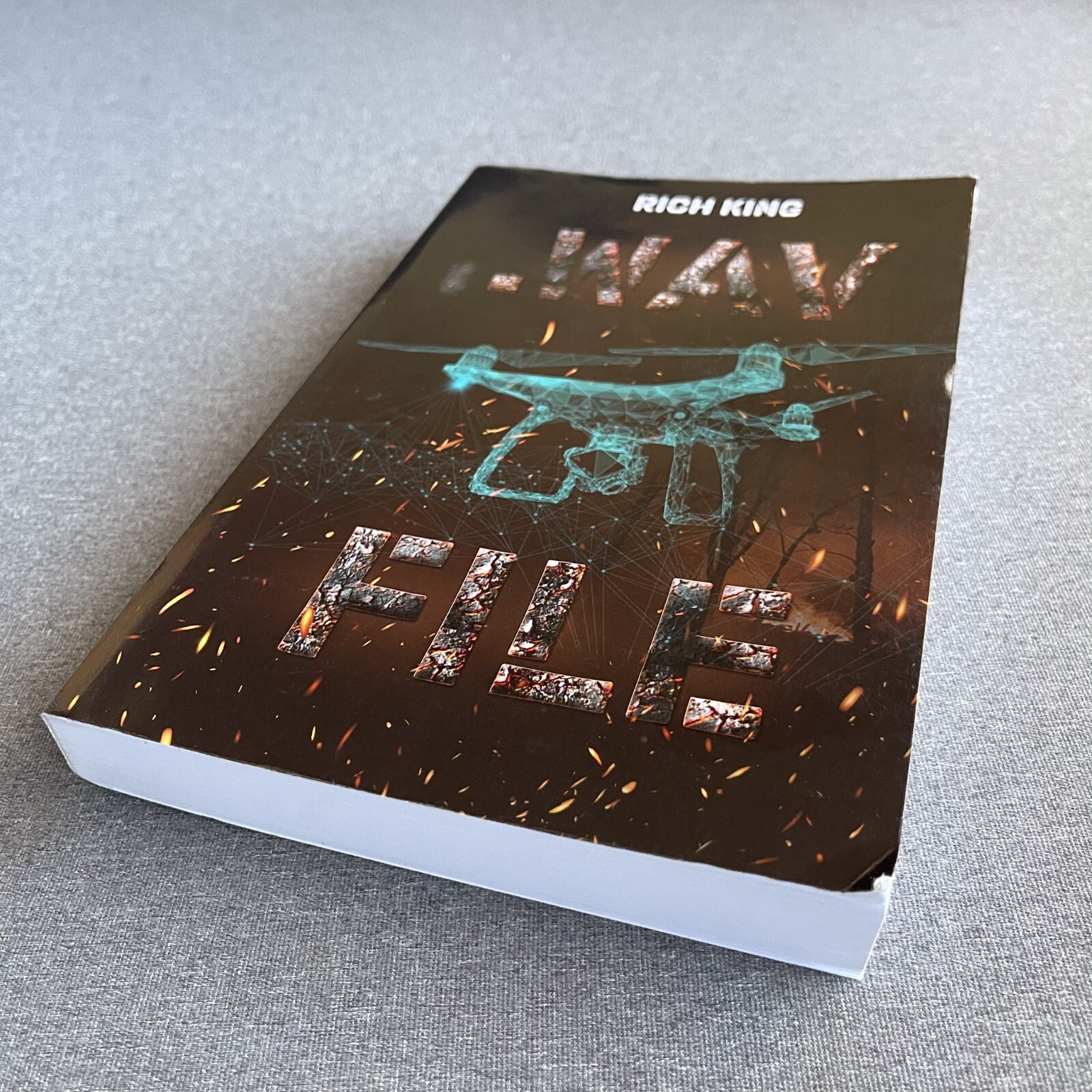 Wav File Paperback – February 2, 2021 by Rich King
