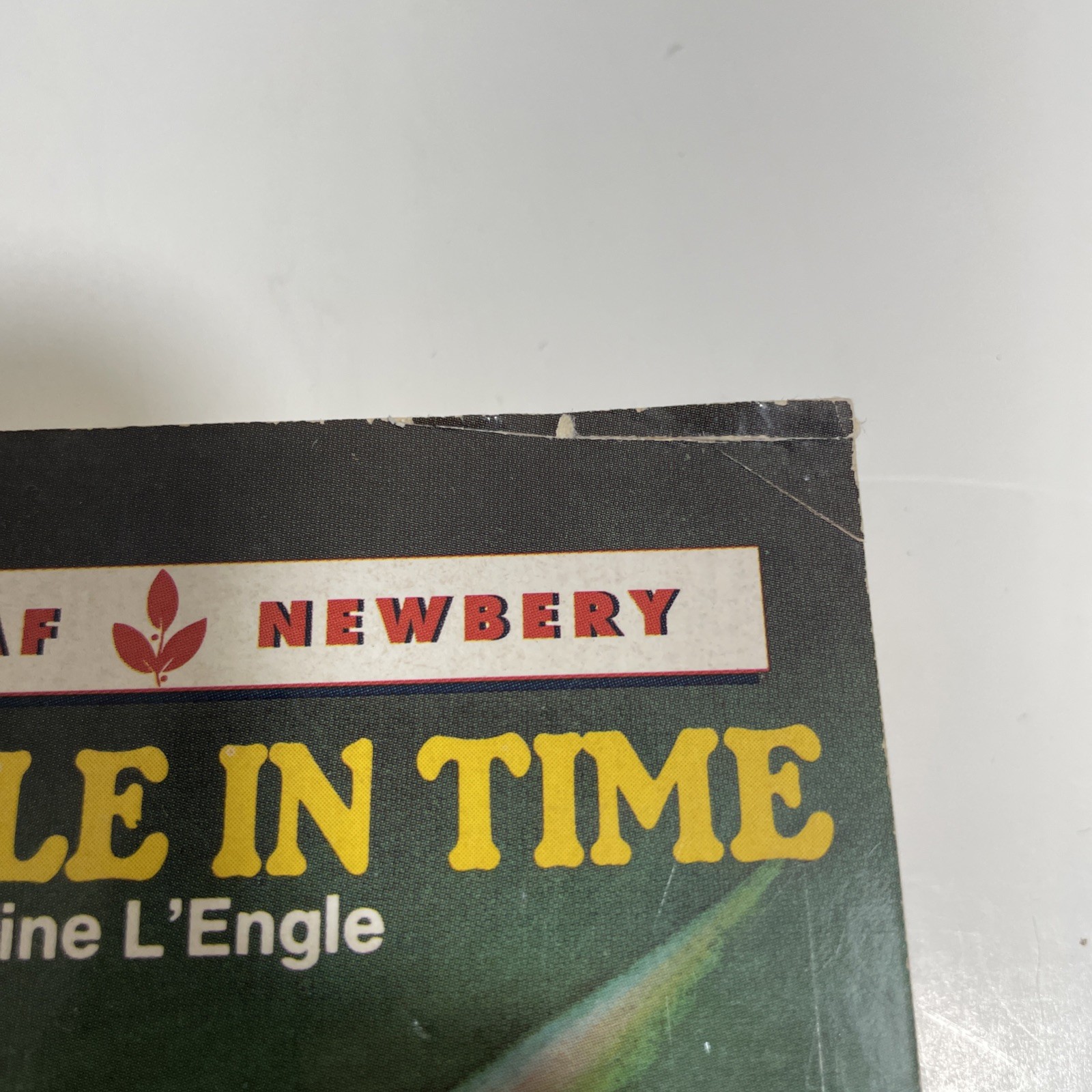 VTG Wrinkle in Time paperback by Madeleine L’Engle 1976