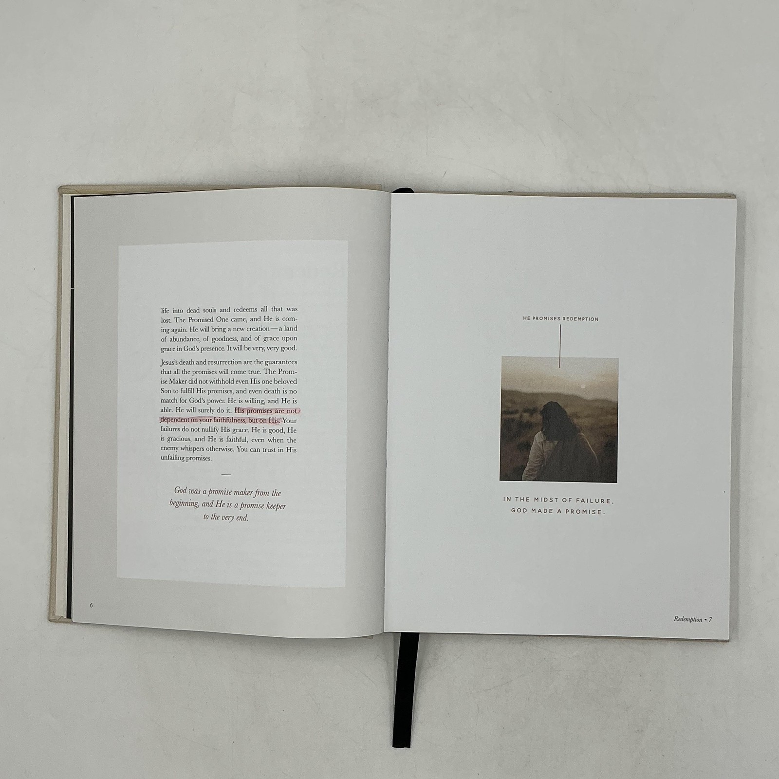 The PROMISES Of God By The Daily Grace Co. Hardcover Beige – Religious Book