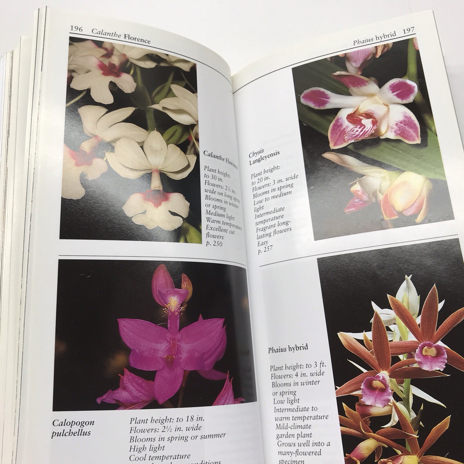Taylor’s Guide to Orchids~1996~Judy White~Ex Library