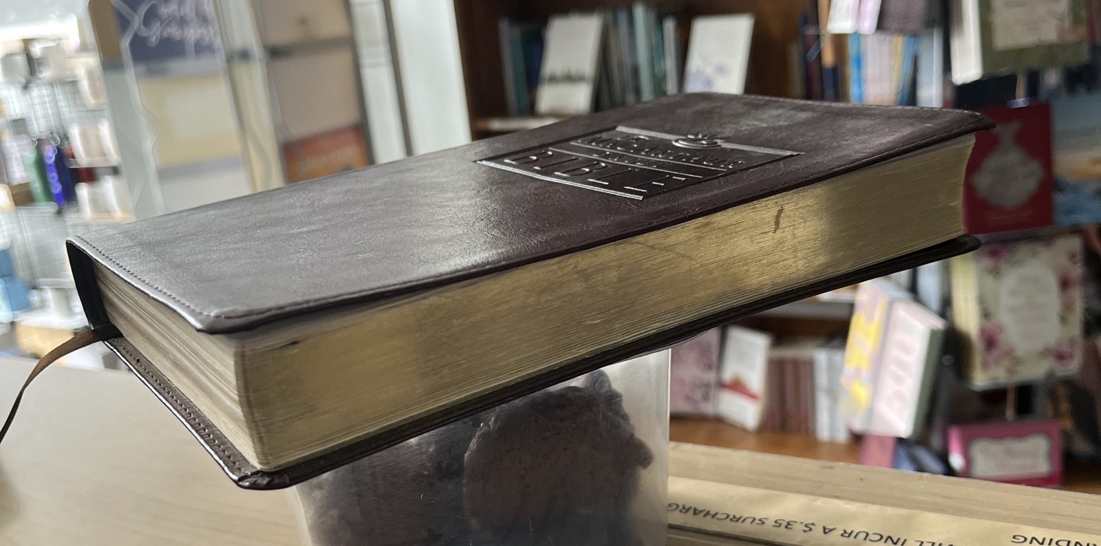 NASB The MacArthur Daily Bible 8643GTV Comfort Print VG 2021- Nelson-LN
