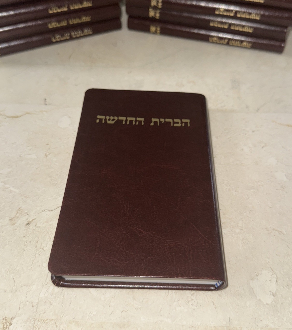 New Testament in Hebrew Society For Hebrew Scriptures הברית החדשה Pocket Bible