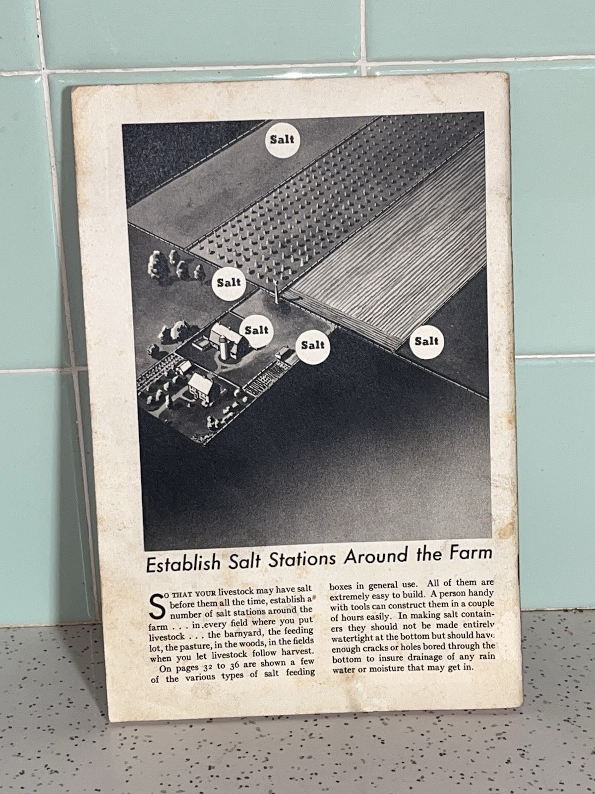 Vintage Free Choice Salt For More Profitable Livestock Feeding Booklet 39 Pages