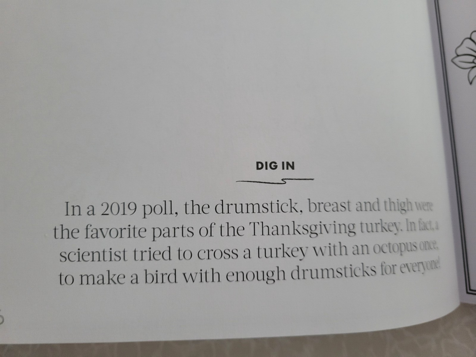 THANKSGIVING ADULT COLORING BOOK – 2022 CENTENNIAL – 32 FESTIVE COLORING PAGES