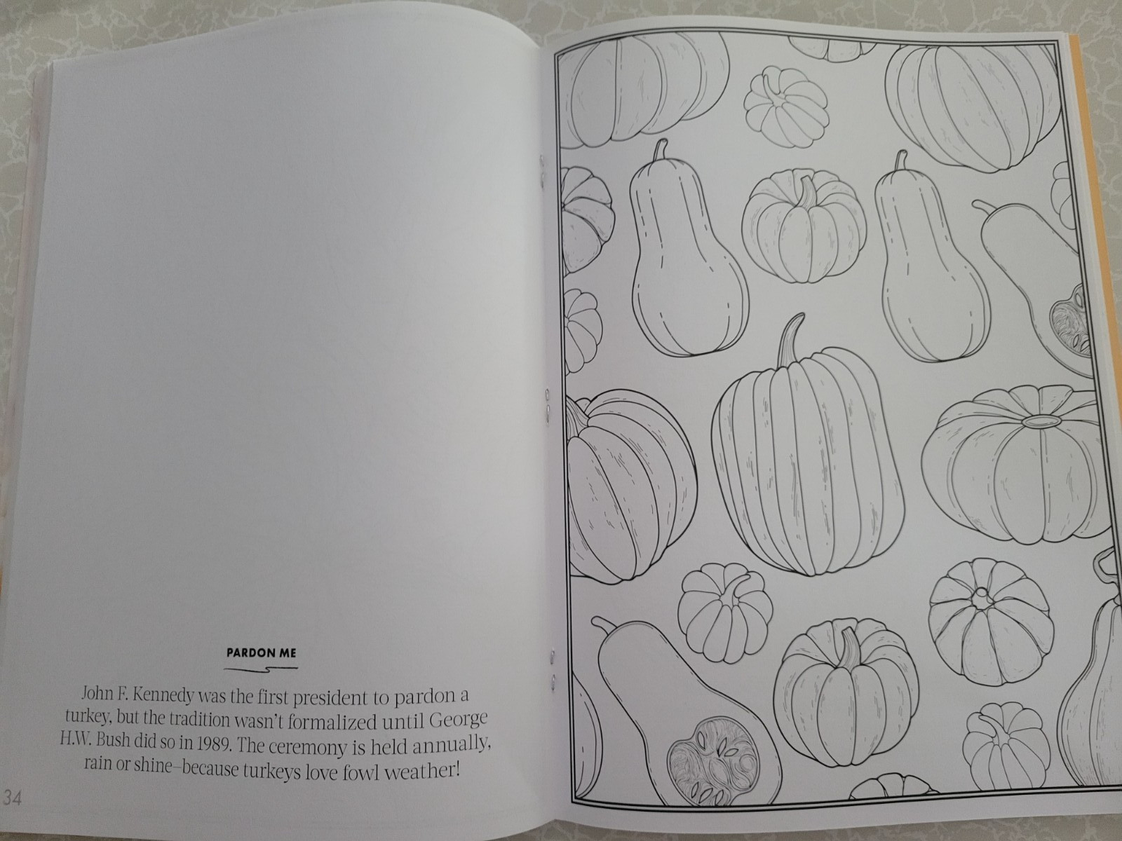 THANKSGIVING ADULT COLORING BOOK – 2022 CENTENNIAL – 32 FESTIVE COLORING PAGES