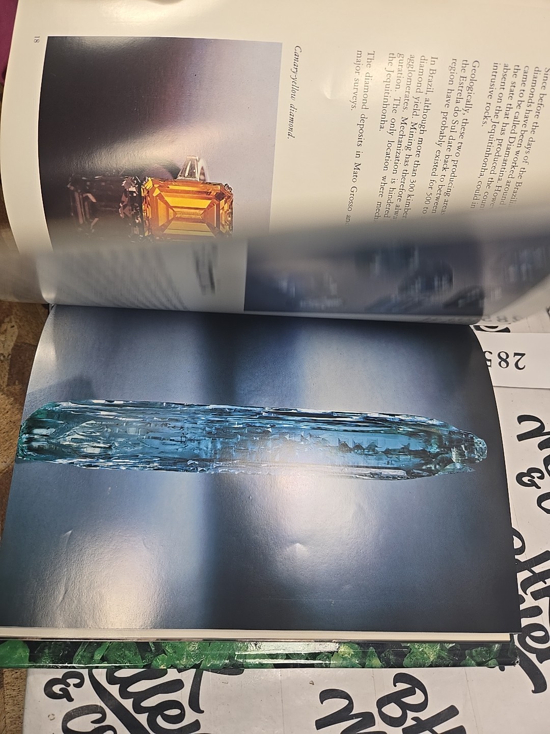 Brazil: Paradise of Gemstones [hardcover] Jules Roger Sauer,Harold Van Pelt,Eric