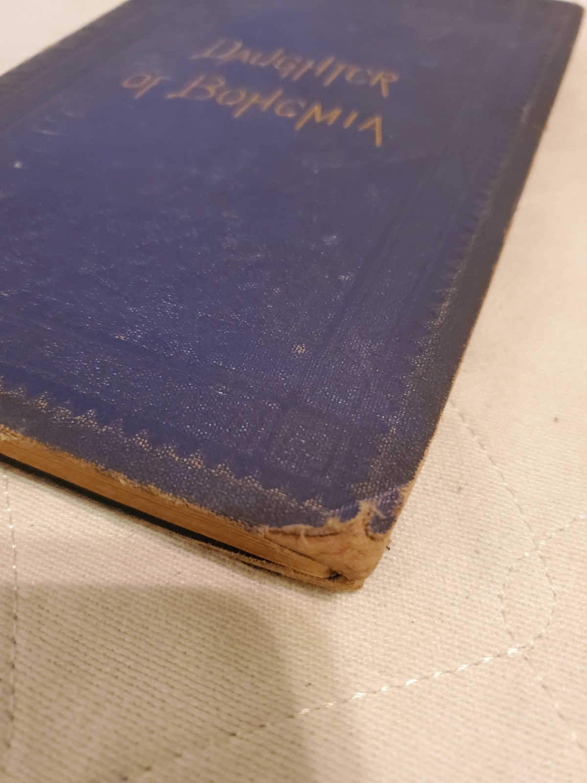 A Daughter of Bohemia Christian Reid 1874 A Novel Illustrated D. Appleton And Co