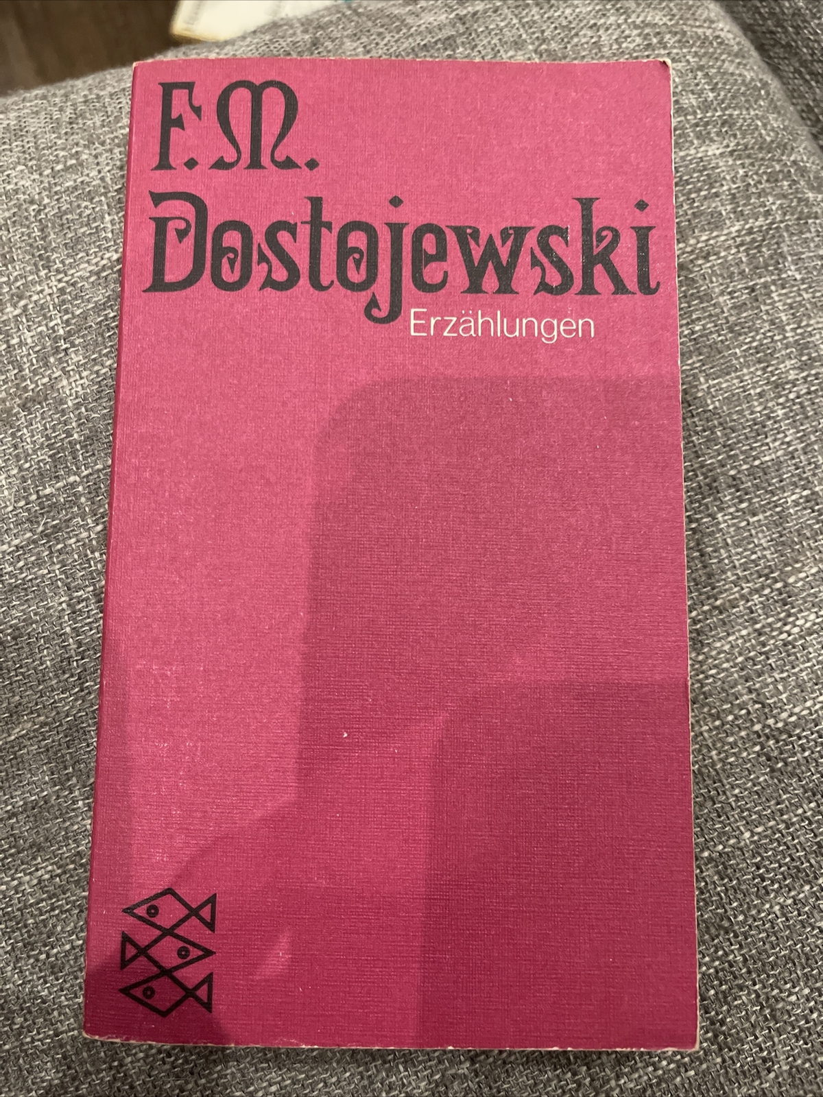 F.M. Dostojewski Erzahlungen Fischer Taschenbuch Verlag 1974 PB