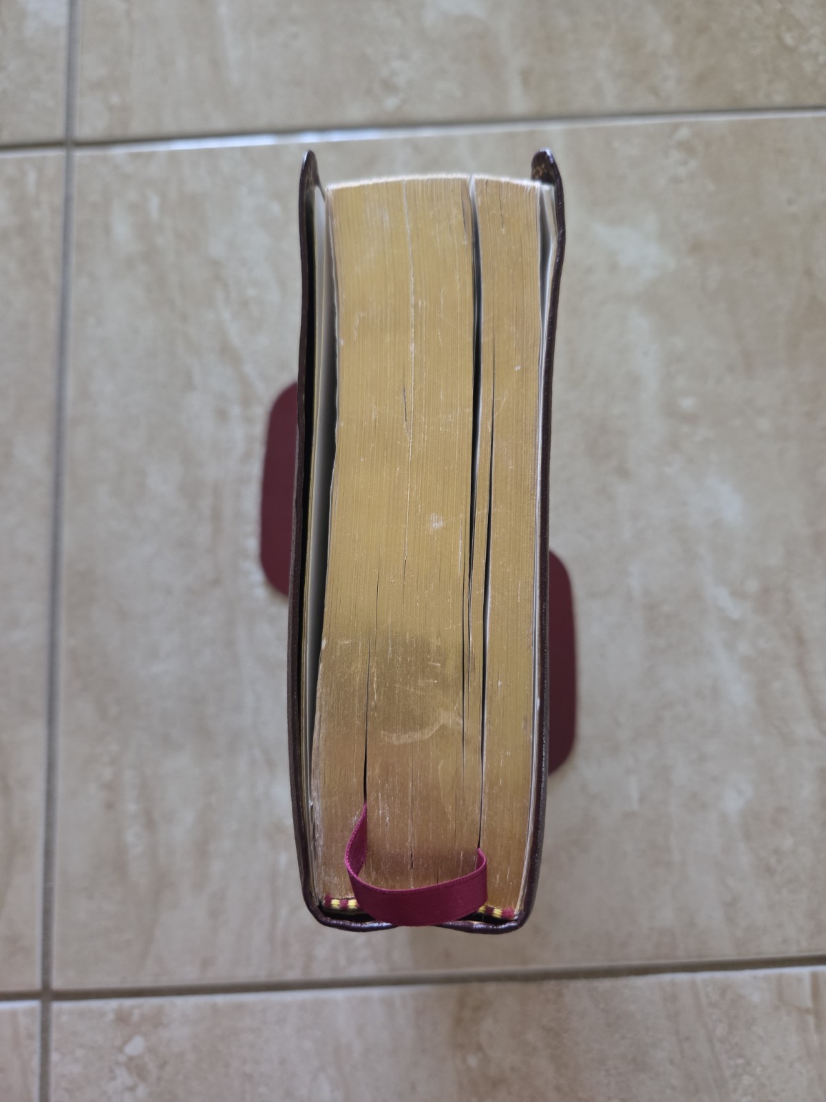 The Reformation Study Bible ESV 2005 Burgundy Genuine Leather Ligonier