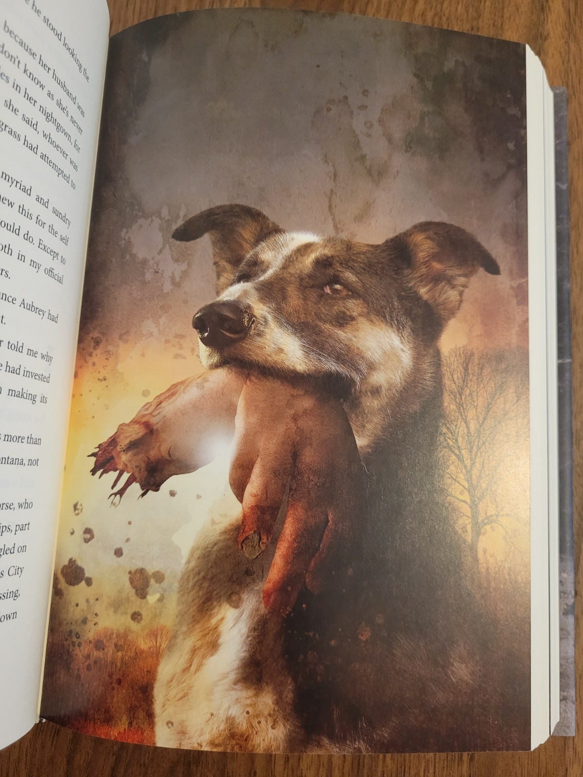 Buffalo Hunter Hunter by Stephen Graham Jones – SST Signed & Numbered w Slipcase