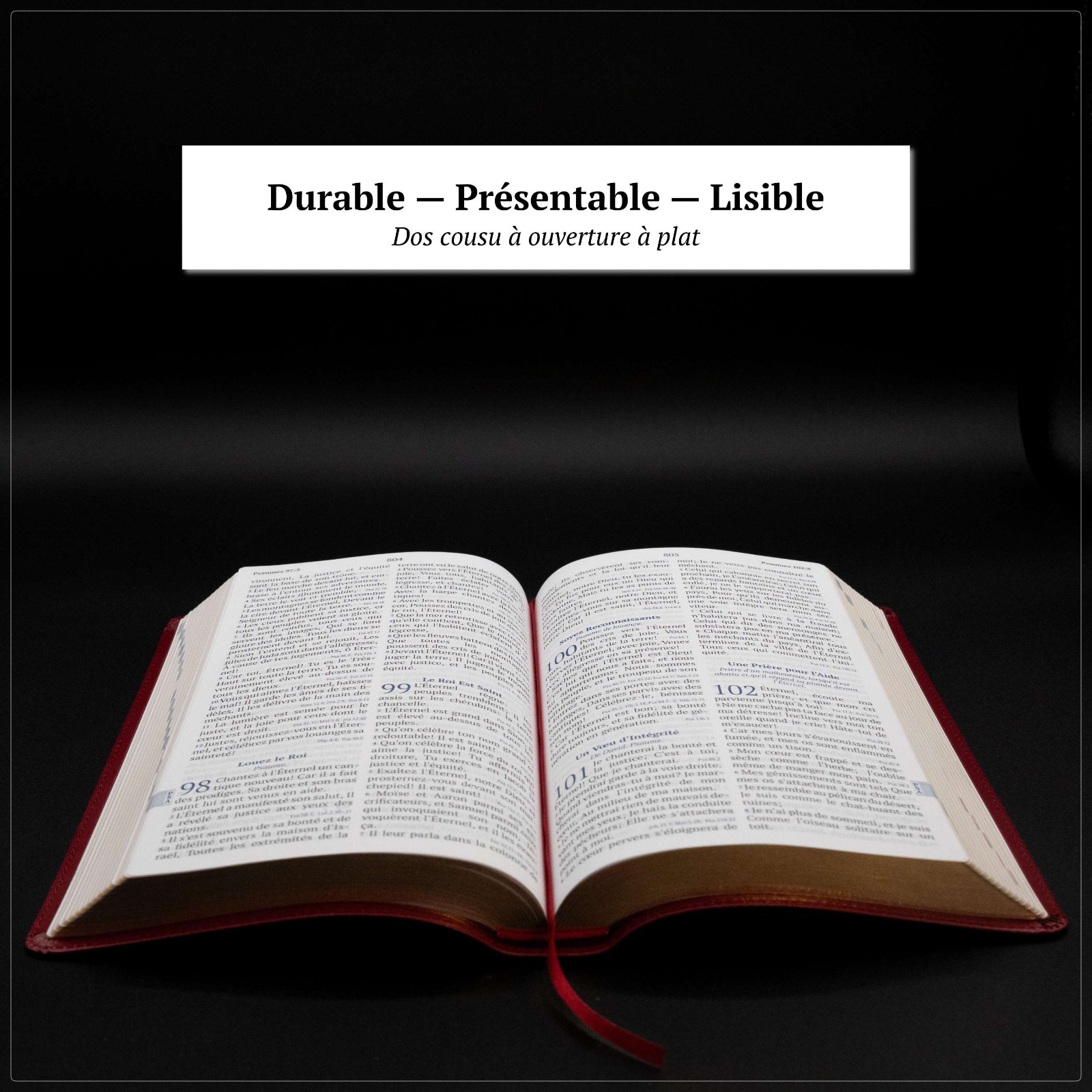 Red Louis Segond French Bible LARGE Print – LSG Bible Rouge en Français by SP