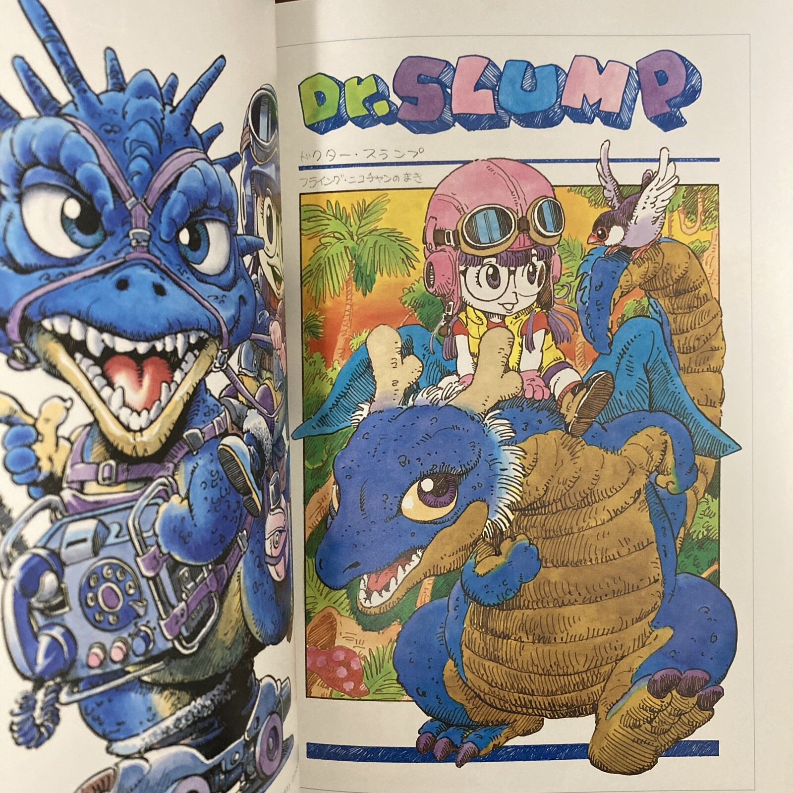 Akira Toriyama THE WORLD SPECIAL Art Book Illustration
