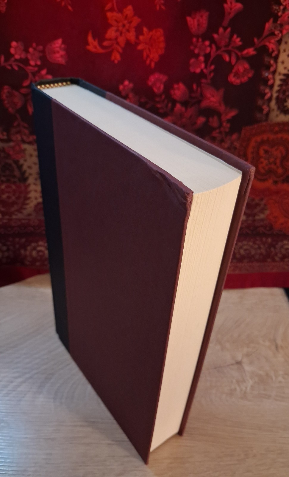 Favorites : A Novel by Layne Fargo (2025, Hardcover)