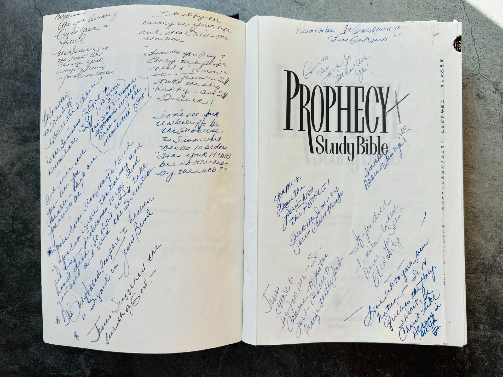 Prophecy Study Bible Hardcover Book 1997