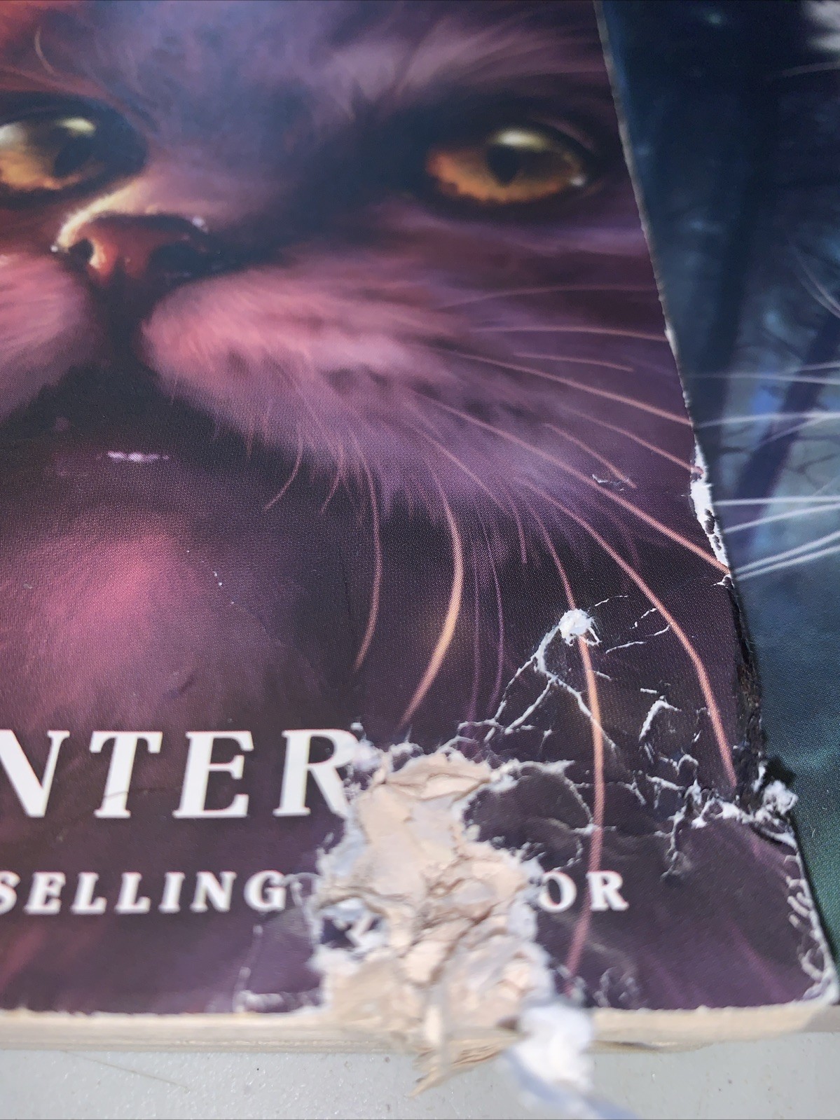 Warriors By Erin Hunter #2,3,4,5 Lot Of Paperback Books 1 W Damage See Pics