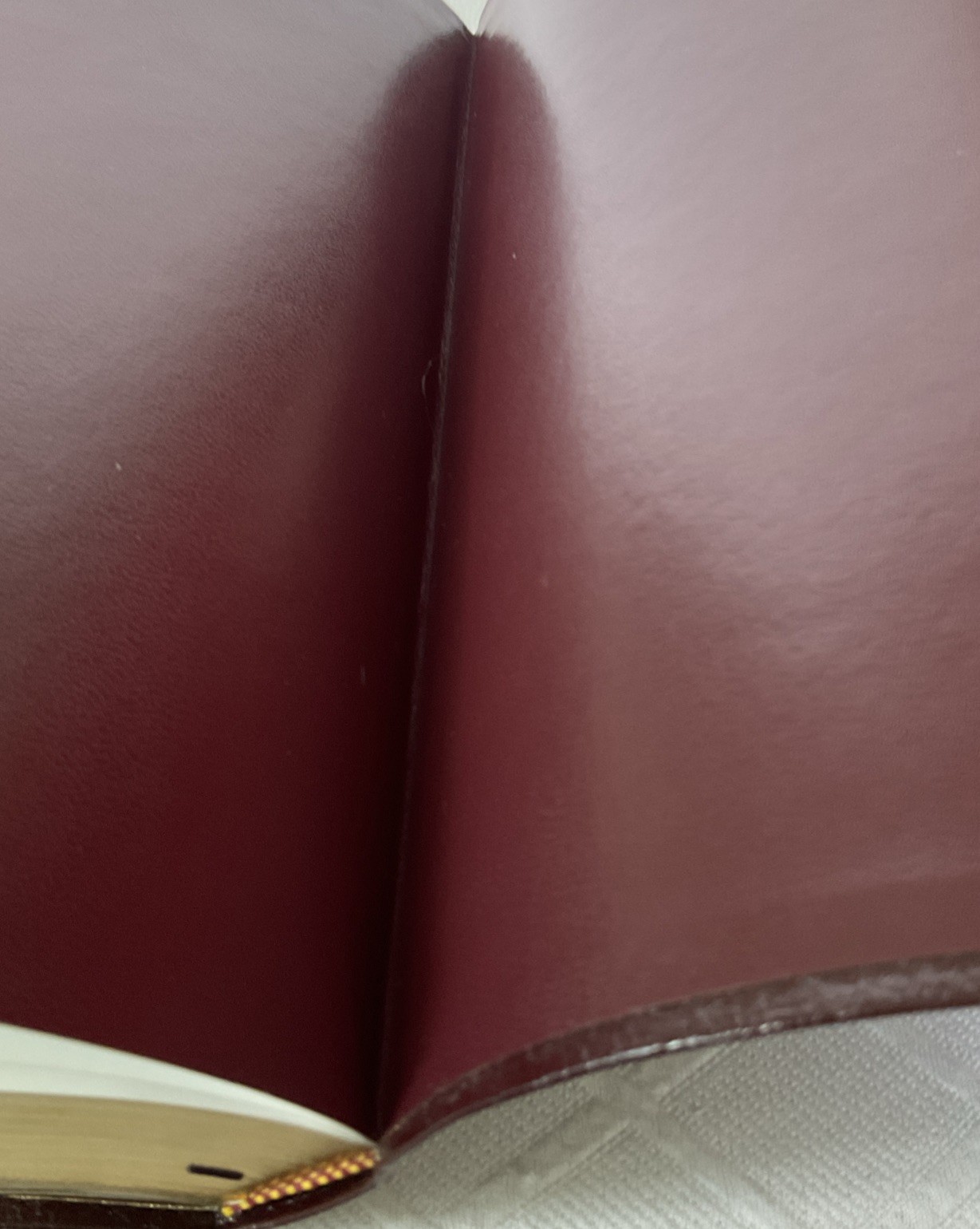 THE KNOWING JESUS STUDY BIBLE. NIB. Burgundy Leather. Free Shipping.