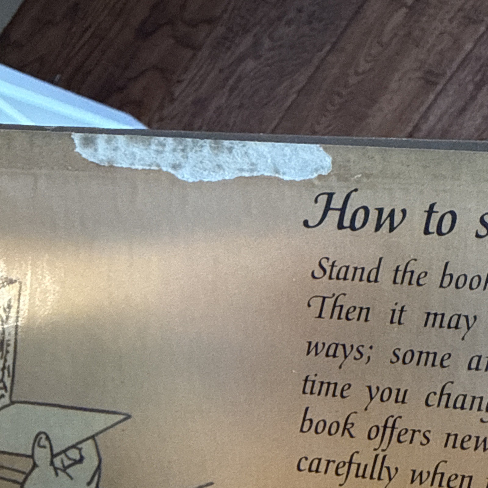 Lothar Meggendorfer The City Park Antique Stand-Up Pop-Up Book Reproduction