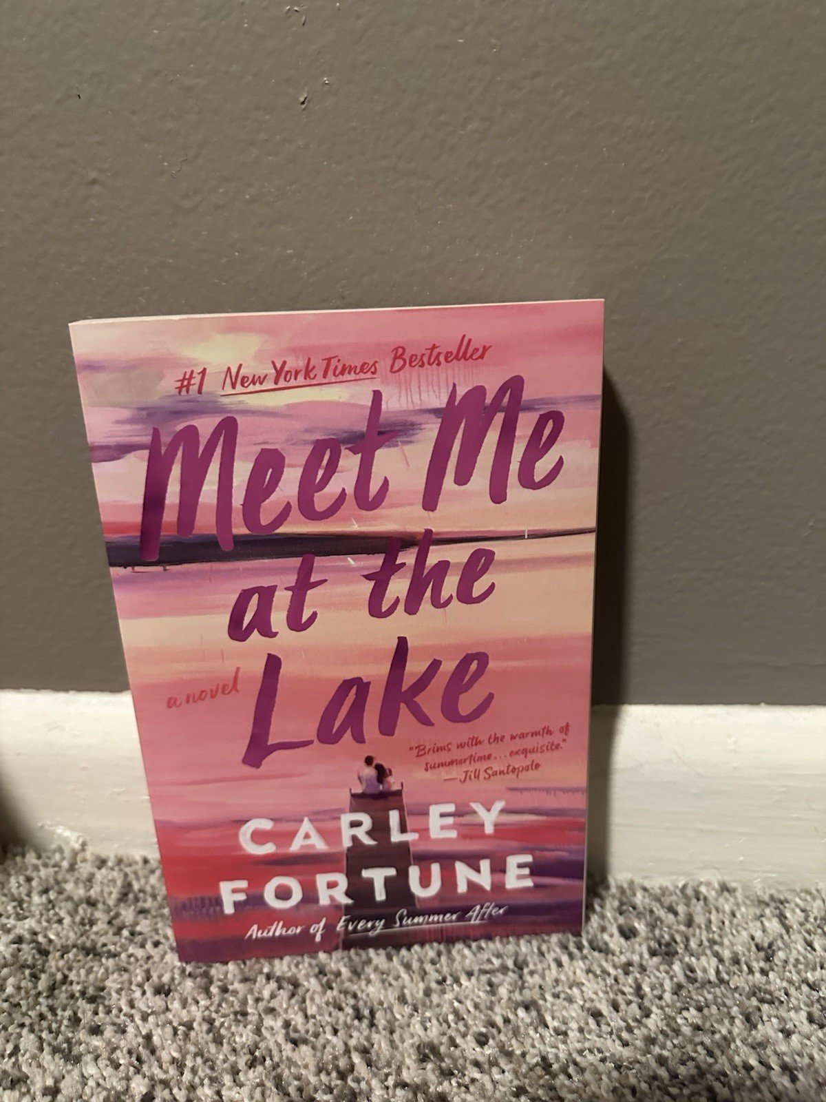 Lucy Score & Carley Fortune Romance Paperback Book Bundle: Meet Me at the Lake