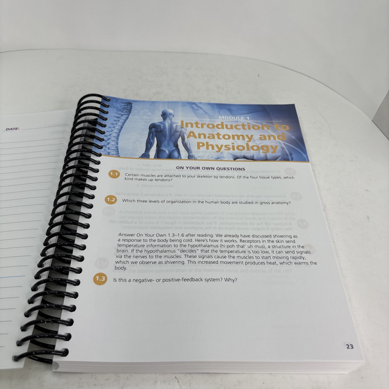 Exploring Creation with Advanced Biology (2nd edition) Student Notebook Clean