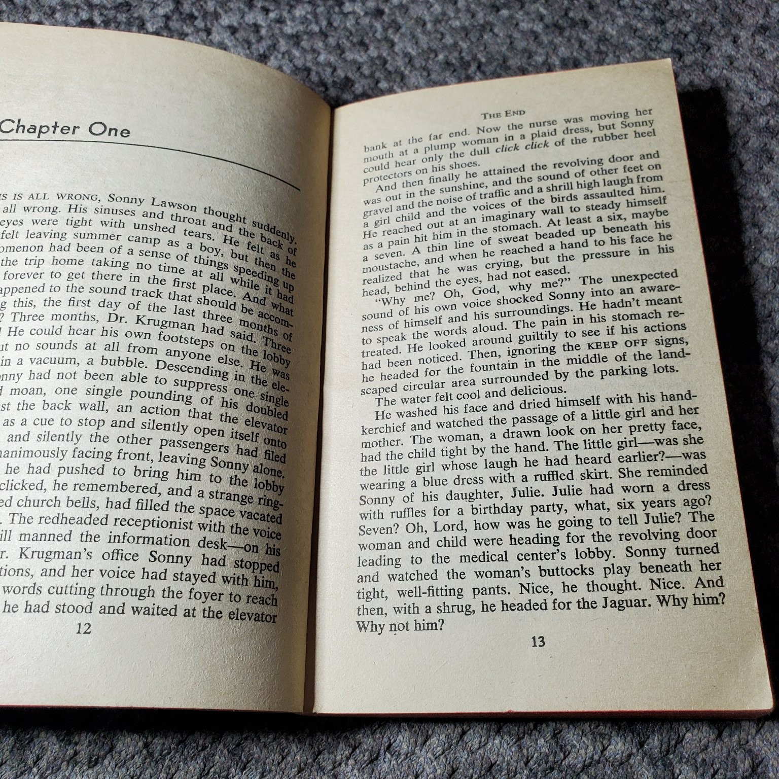 The End Carol Sturm Smith 1978 First Avon Printing Burt Reynolds Film Novel Avon