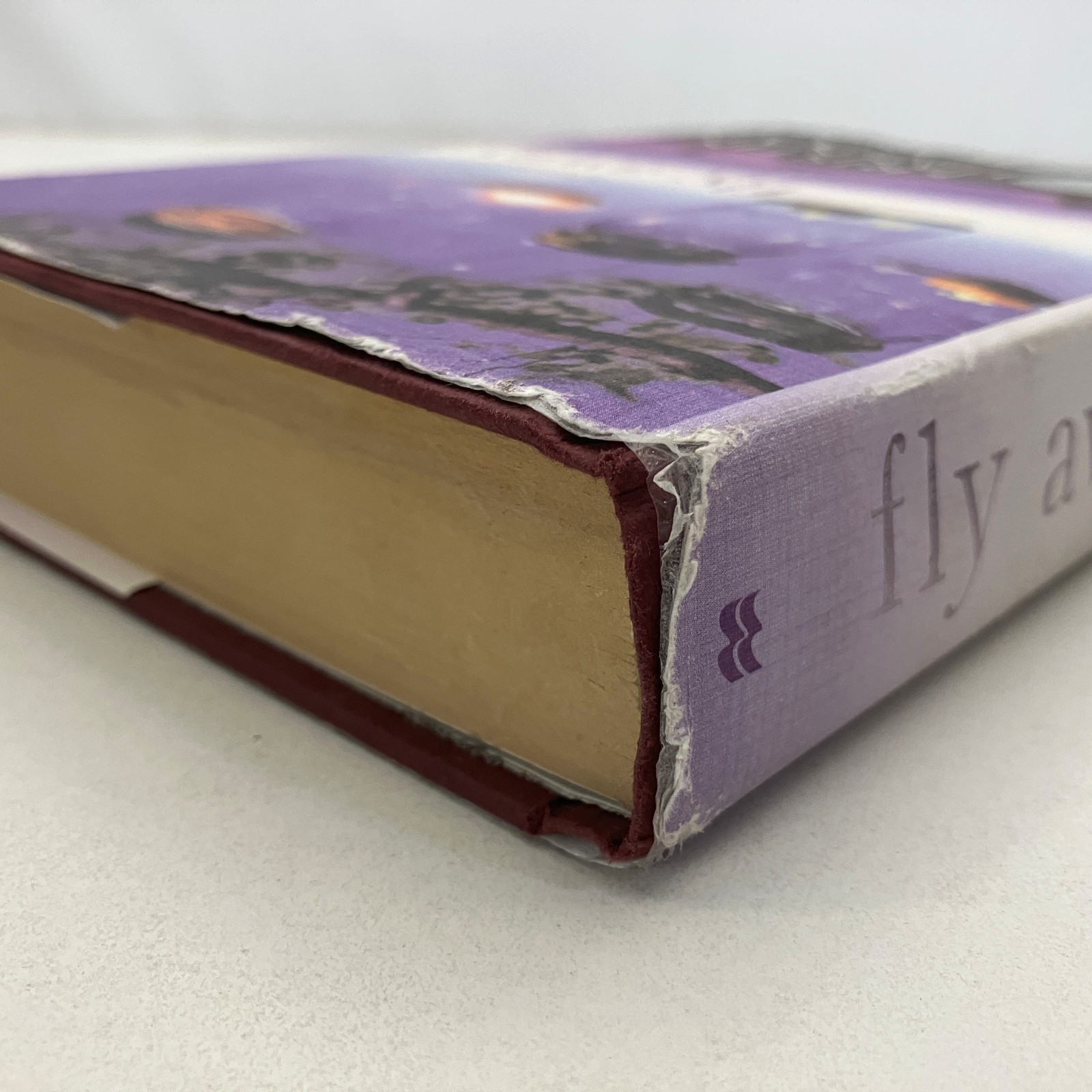 Fly Away Kristin Hannah SIGNED St Martin’s Press 2013 HCDJ Family Heartwarming