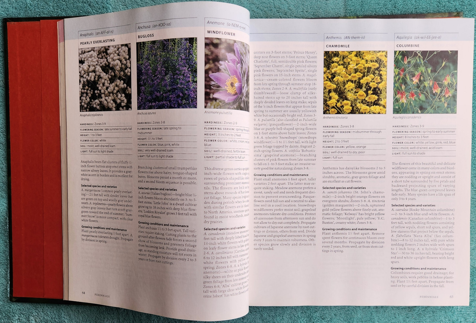 The Illustrated A To Z Encyclopedia Of Garden Plants Massive Hardcover 544 Pages