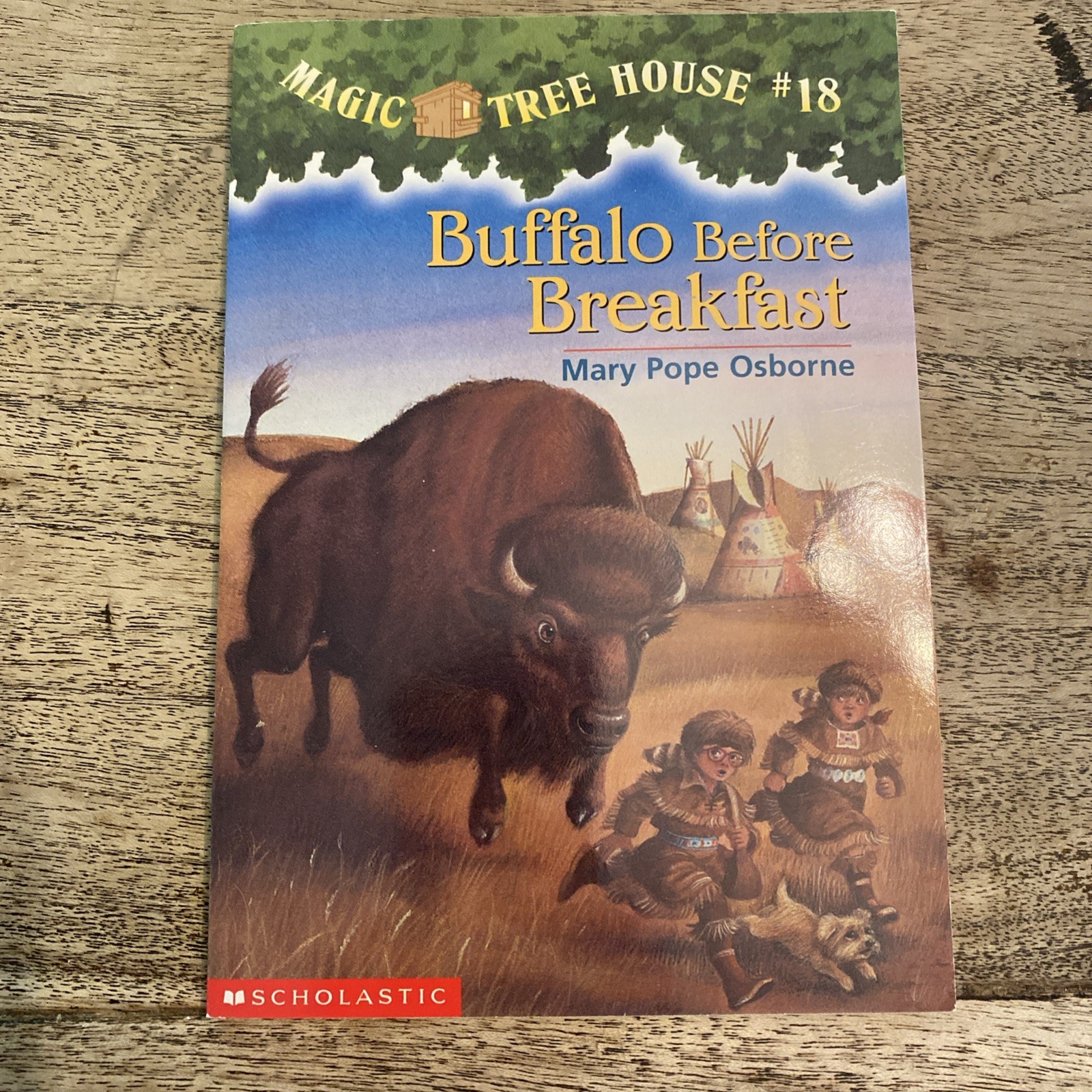 LOT OF 8 MAGIC TREE HOUSE BOOKS MARY POPE OSBORNE PAPERBACKS 18-25