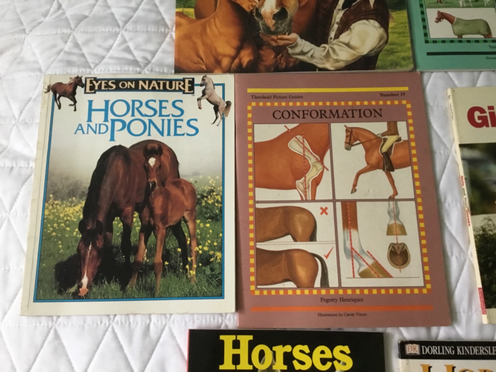 Lot of 9 Horse Books Equine Riding Training Polo Equestrian Care Health Color