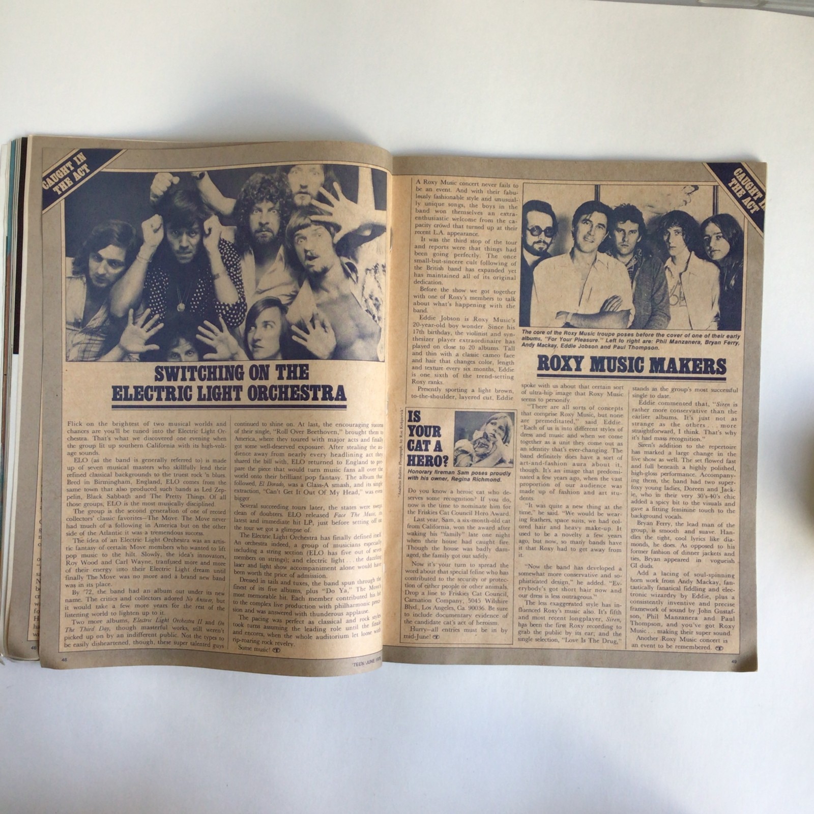 Vintage TEEN Magazine – JUNE 1976 Young & Lovin 96 Pages Fashion, Ads, Advice